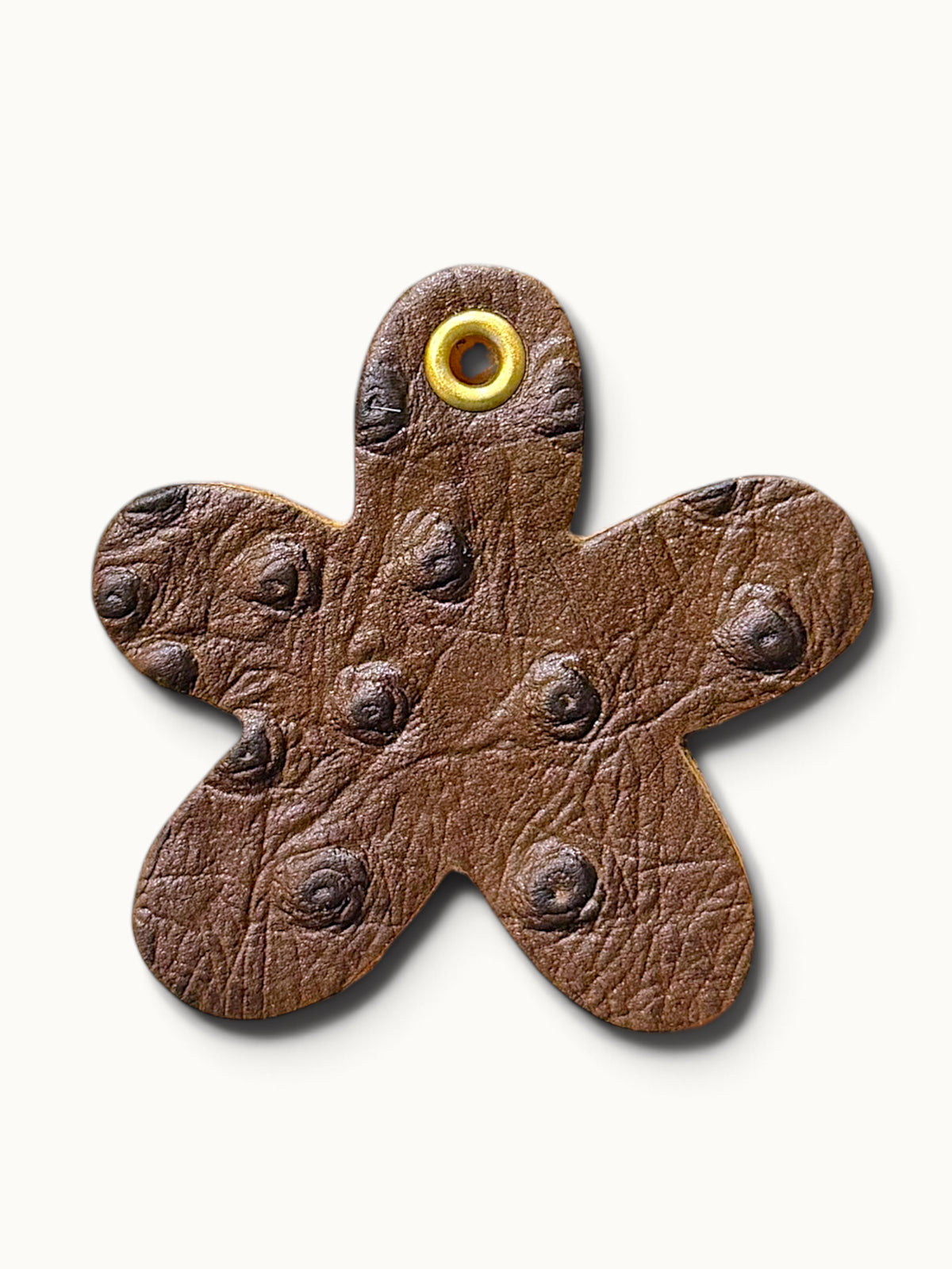 Dotted Cocoa Daisy
