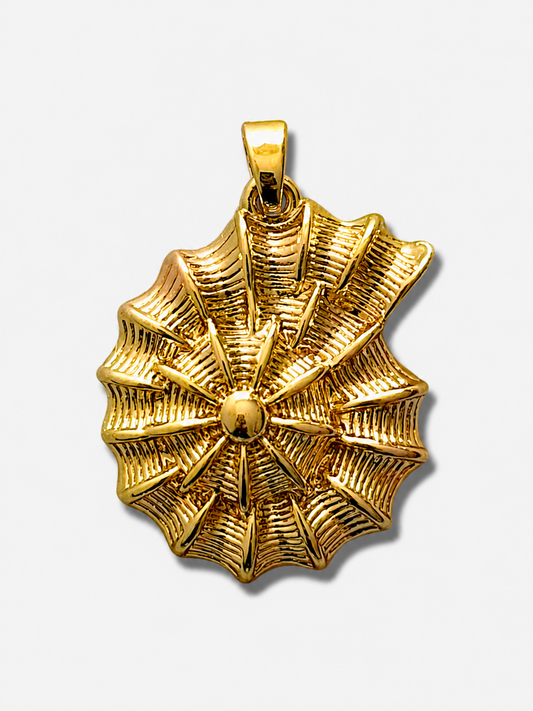 Spiral shell
