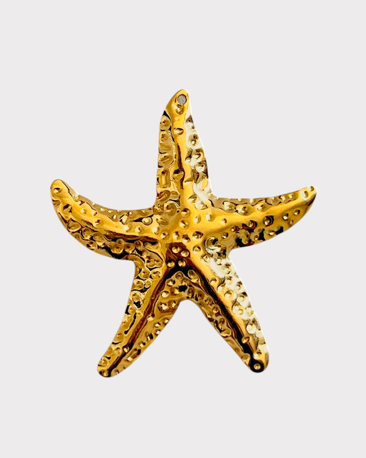 Big starfish III