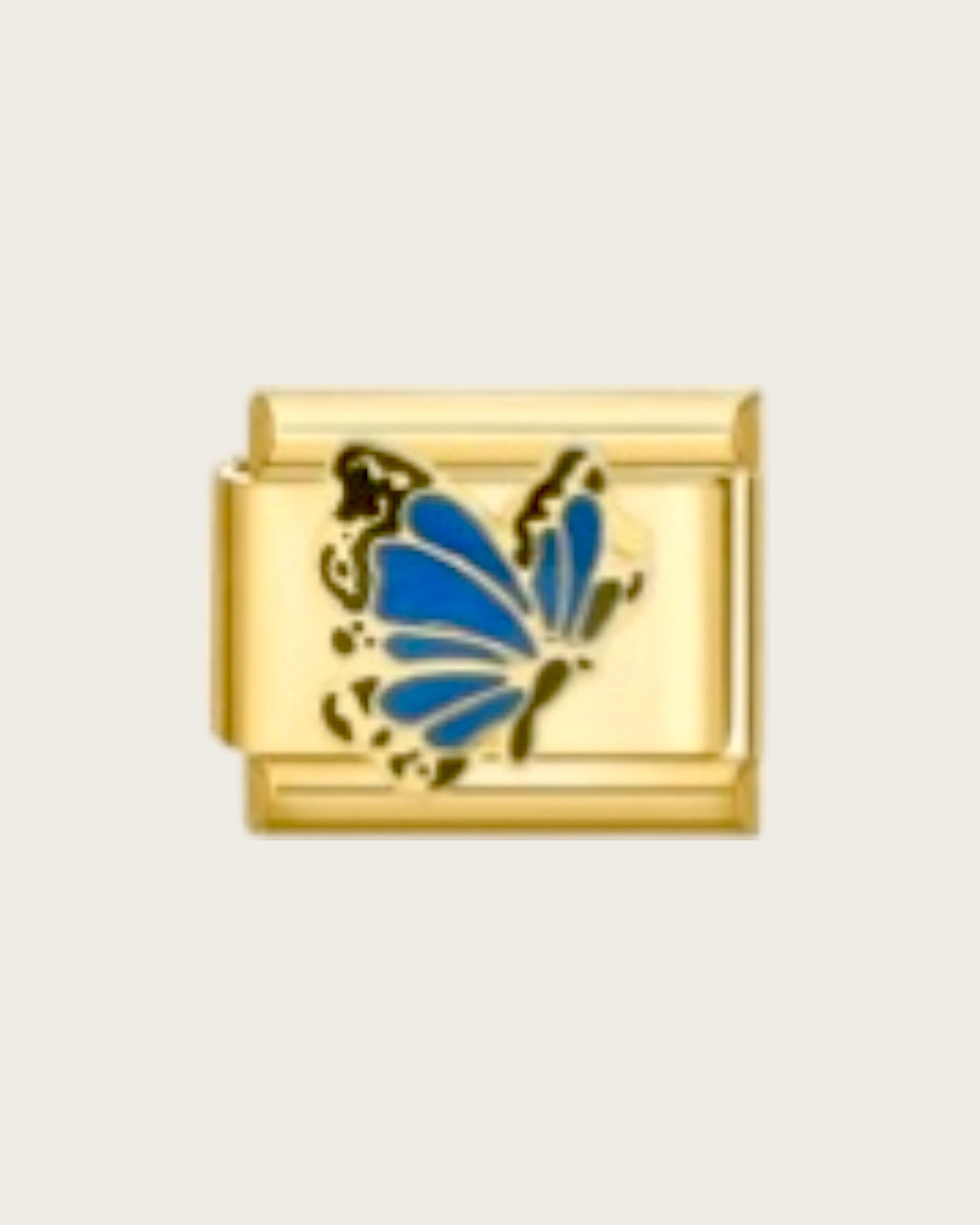 blue butterfly