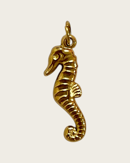 sea horse