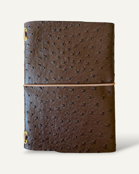 Dotted Coco