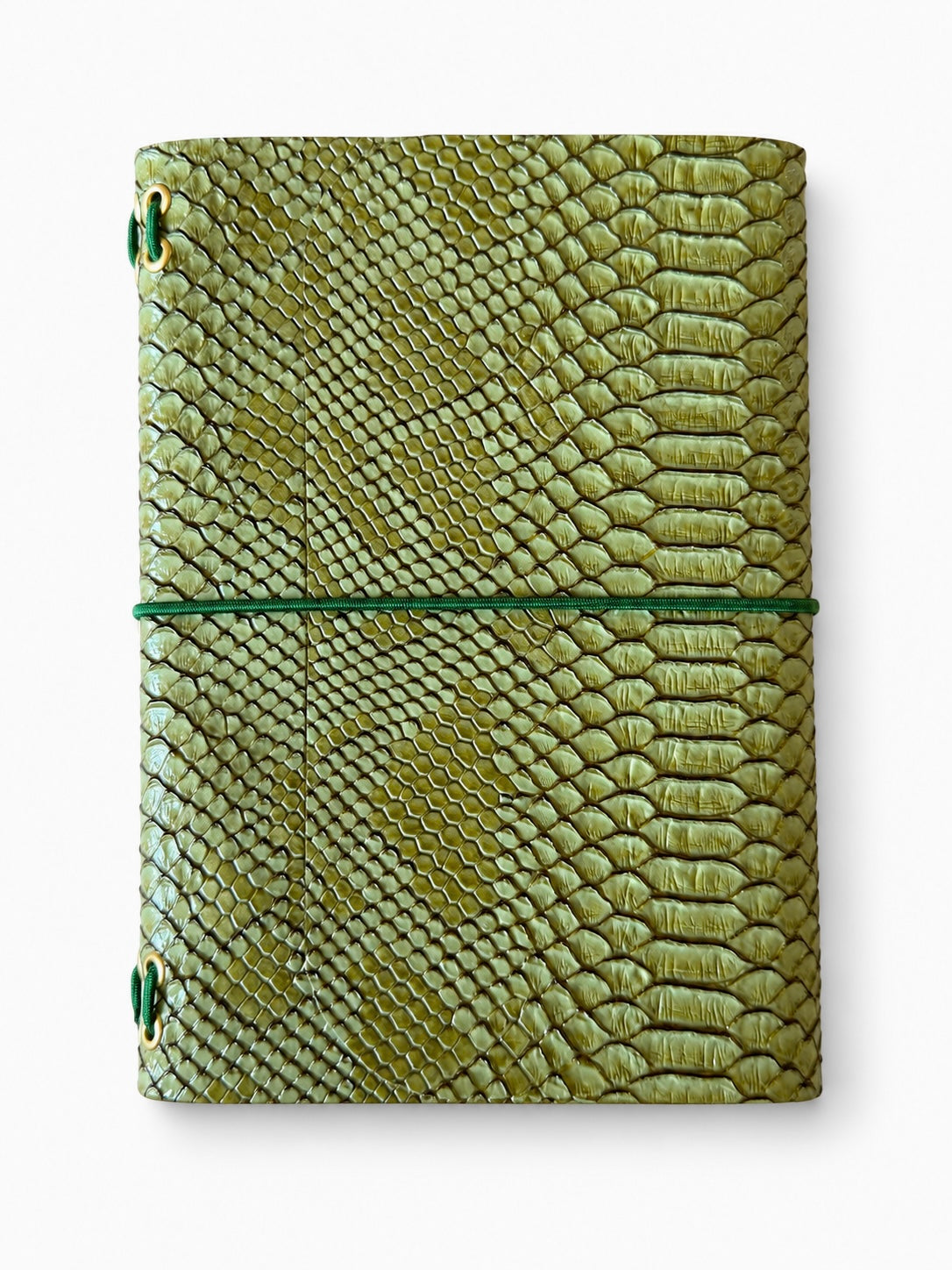 Croc Olive