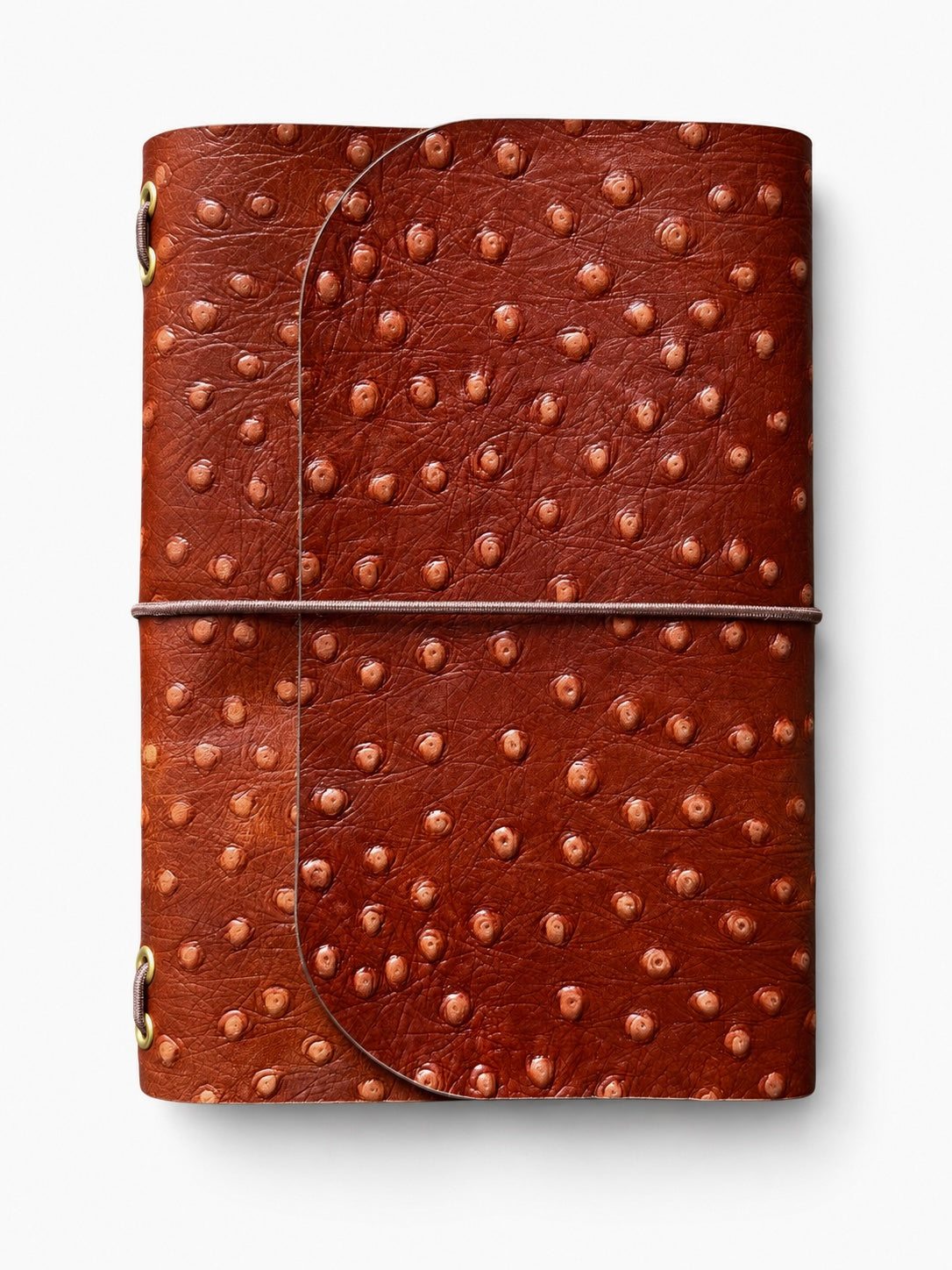 Burnt Dotted Brown