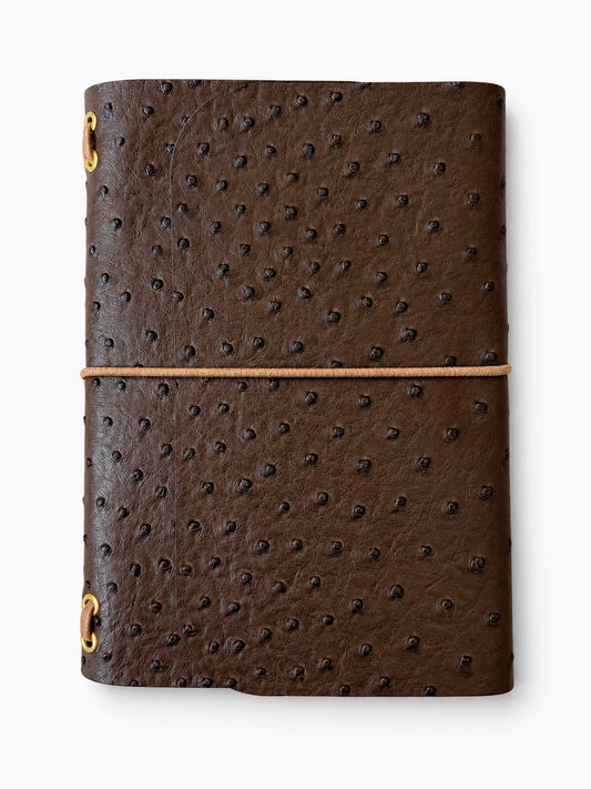 Dotted Cocoa