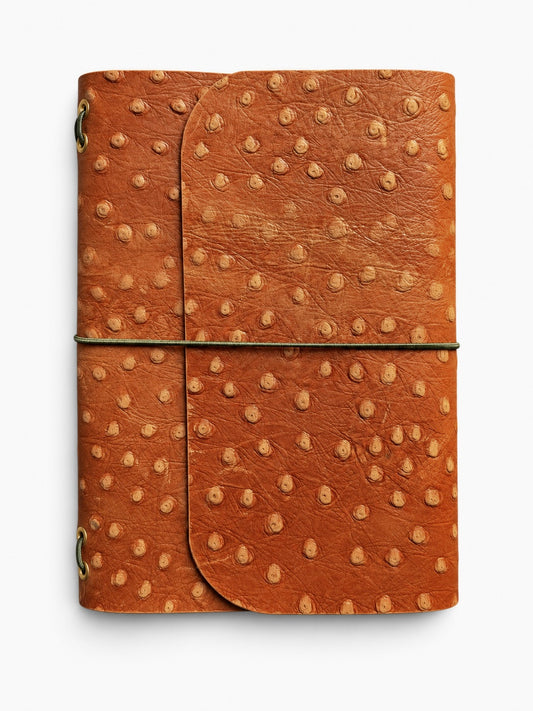 Dotted Brown