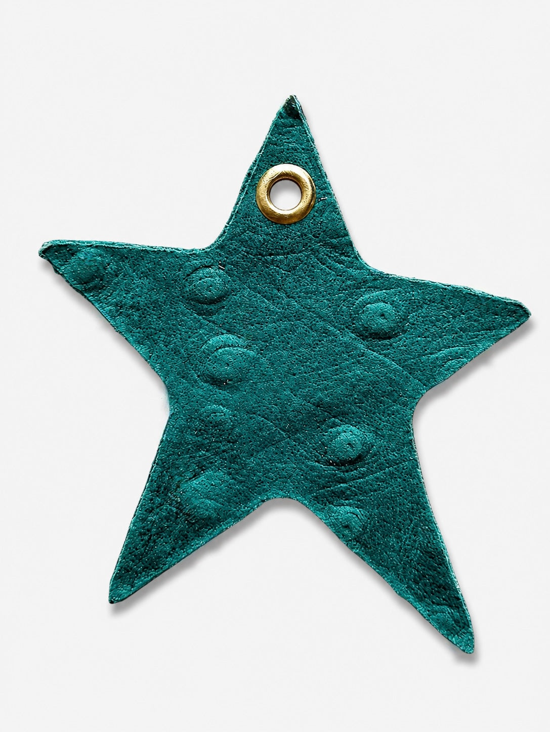 Dotted Teal Star