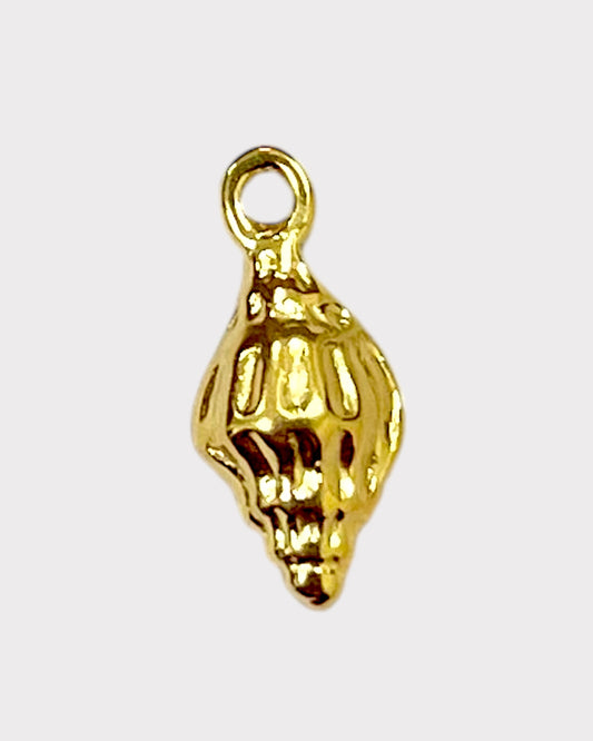 small shell