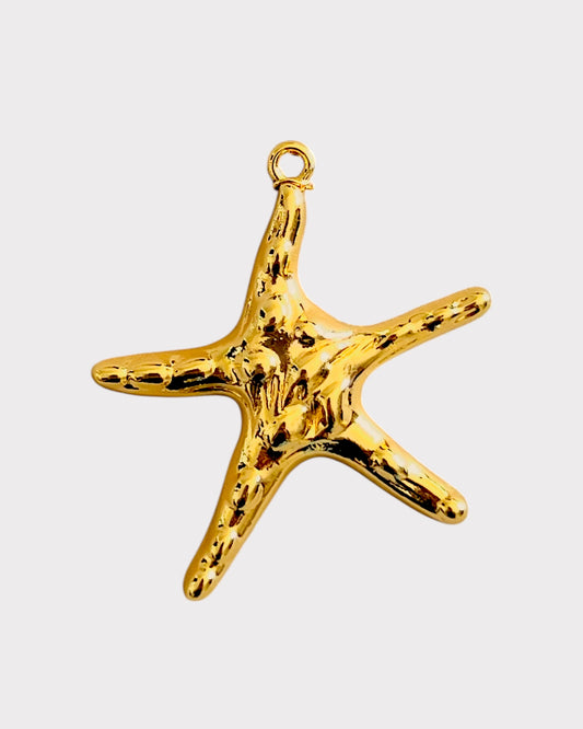 Big starfish II