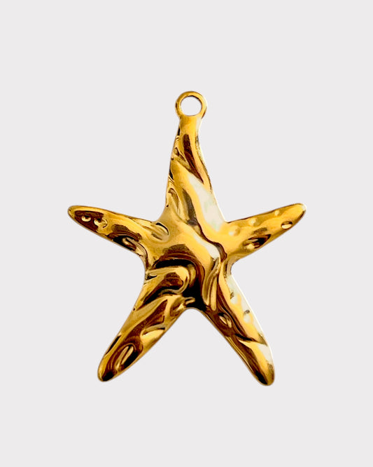 Big starfish I