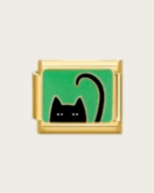 black cat