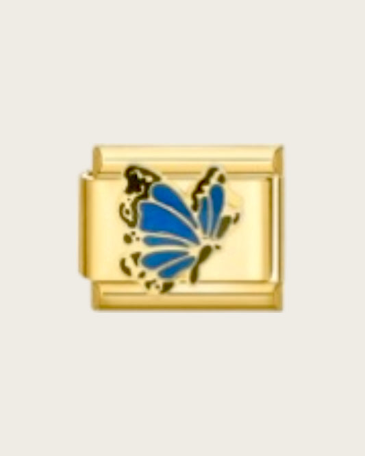 blue butterfly