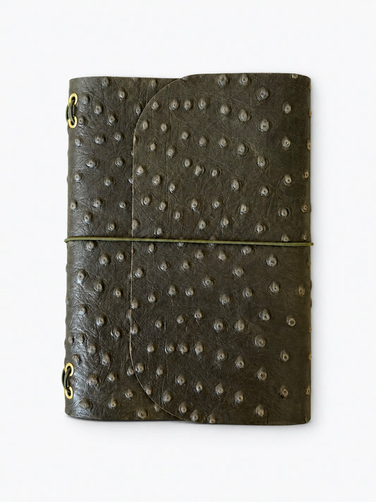 Dotted Olive
