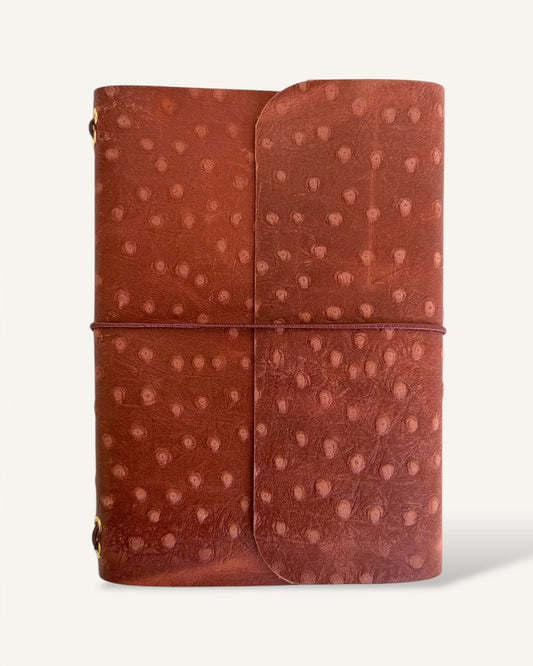Dotted Brown