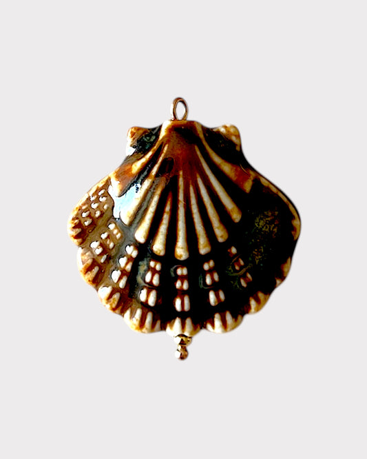 big brown shell