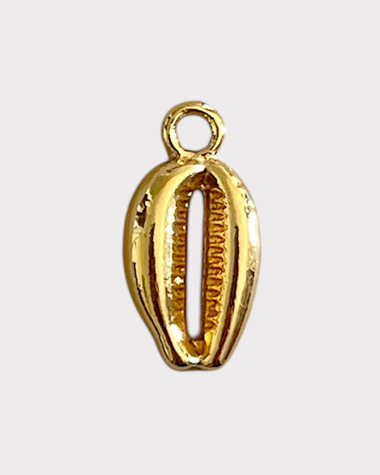 cowrie shell