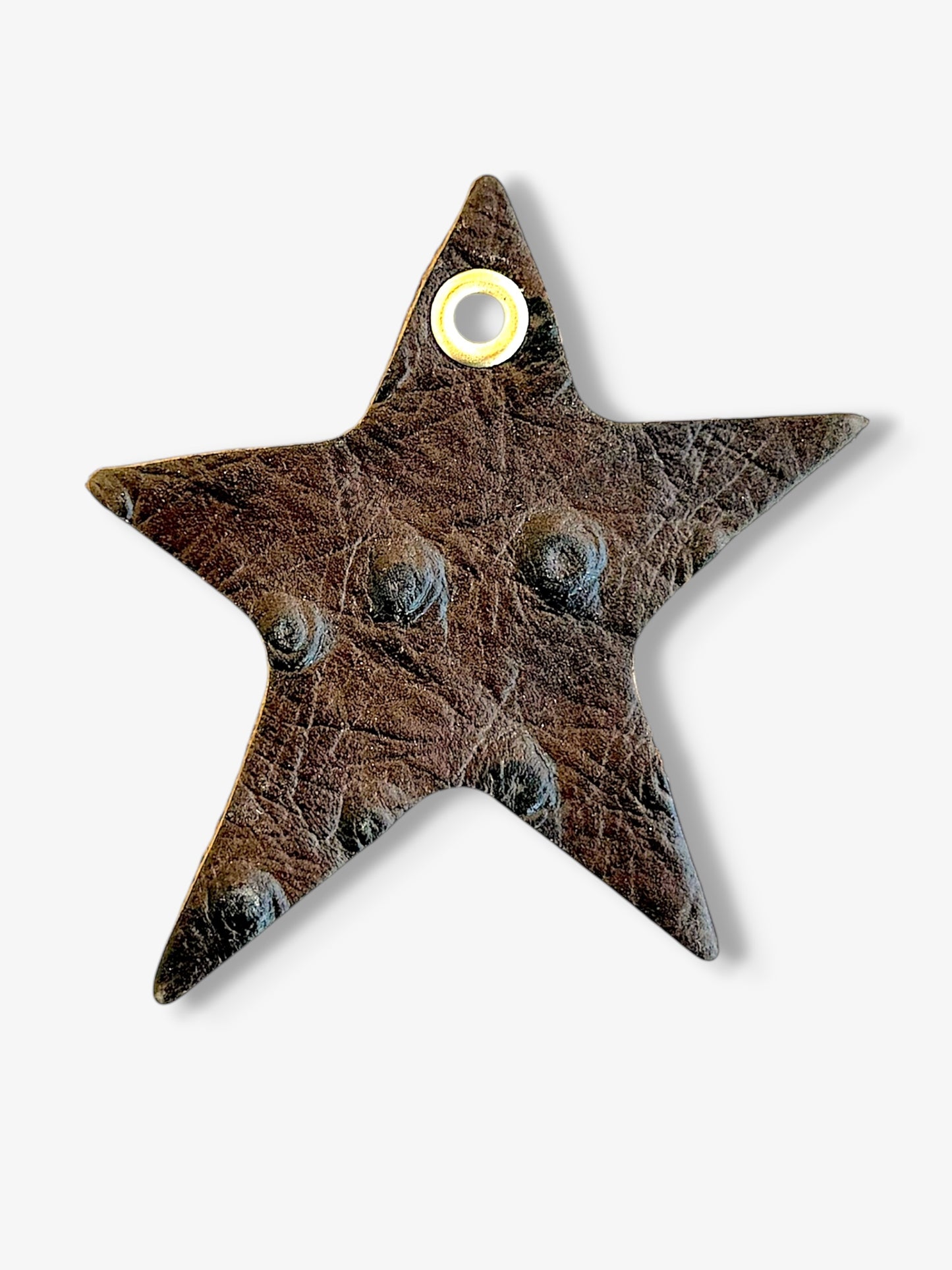 Star Leather Charm