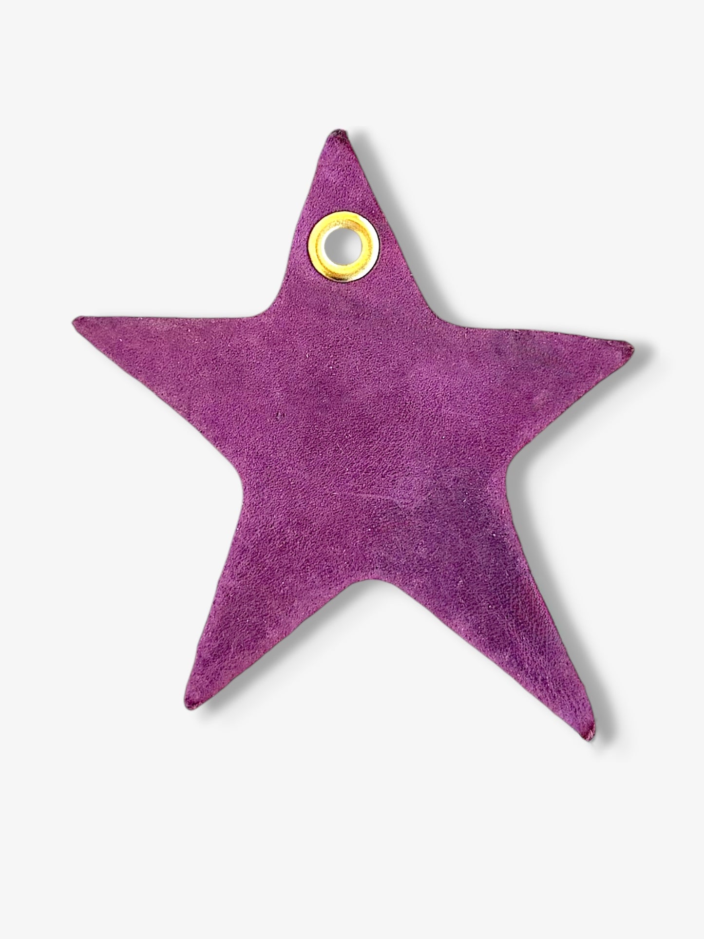 Star Leather Charm
