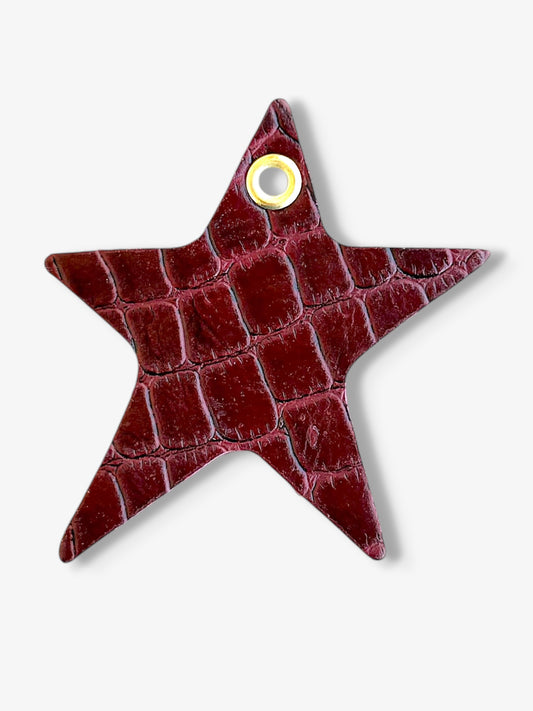 Star Leather Charm